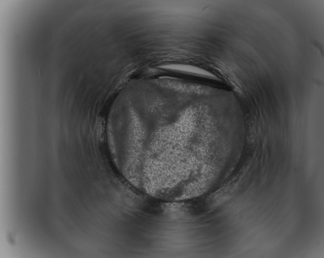 X0000091690273200709201304