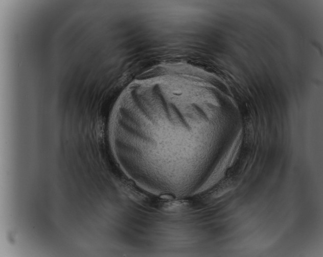 X0000091690274200709201304