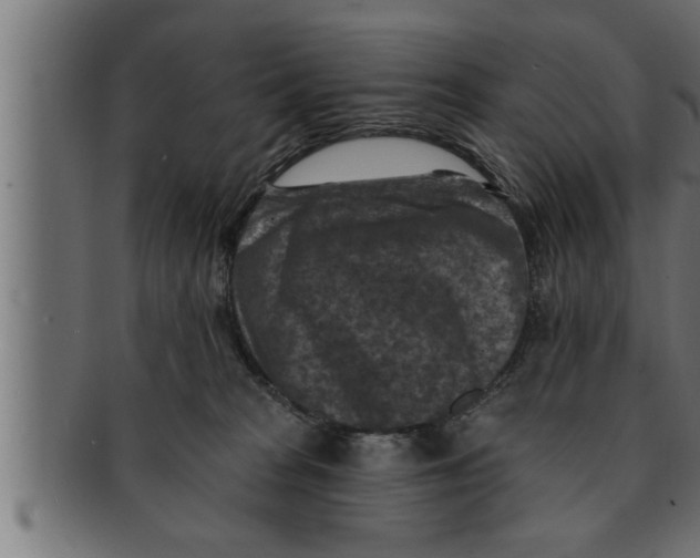 X0000091690277200709201304