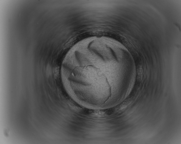 X0000091690278200709201304