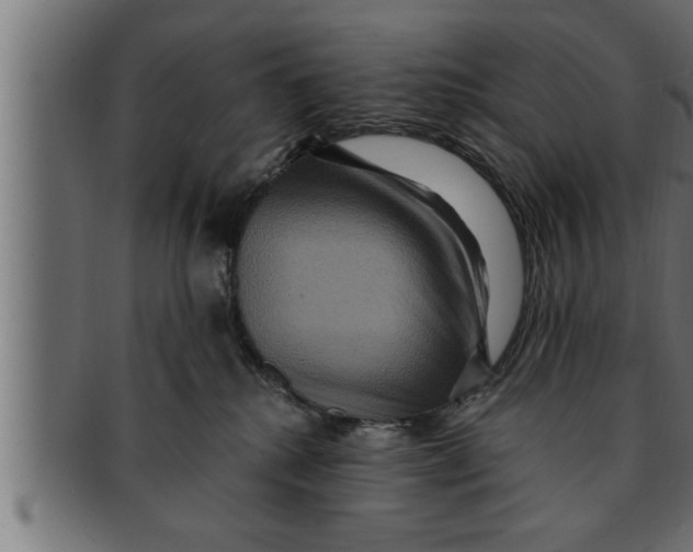 X0000091690280200709201304