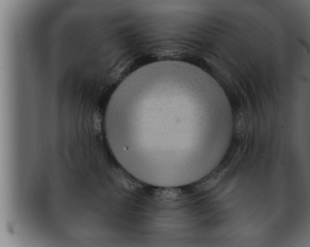 X0000091690282200709201304