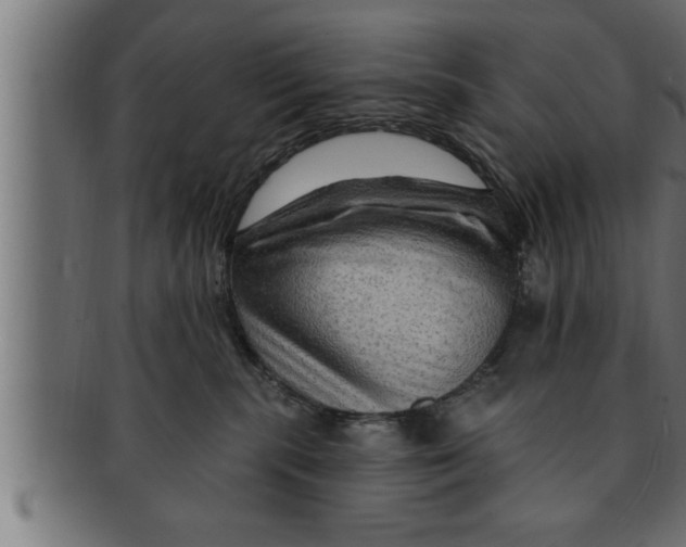 X0000091690283200709201304