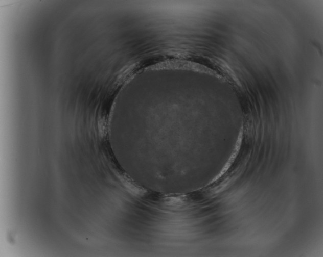 X0000091690285200709201304