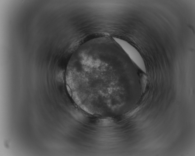 X0000091690286200709201304