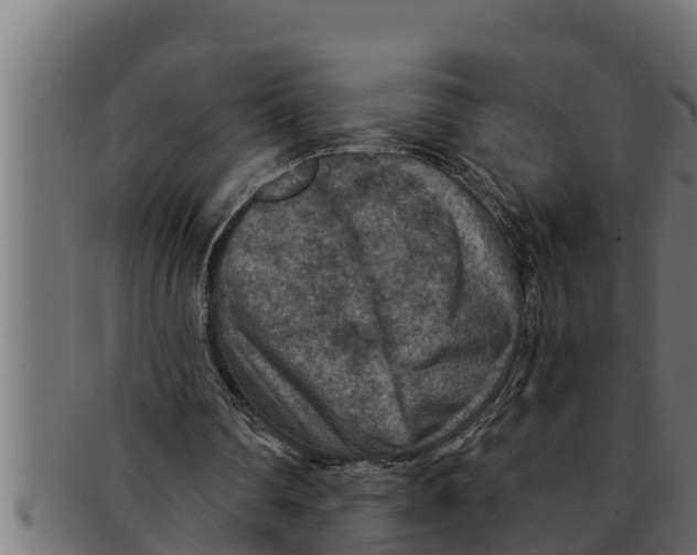 X0000091690290200709201304