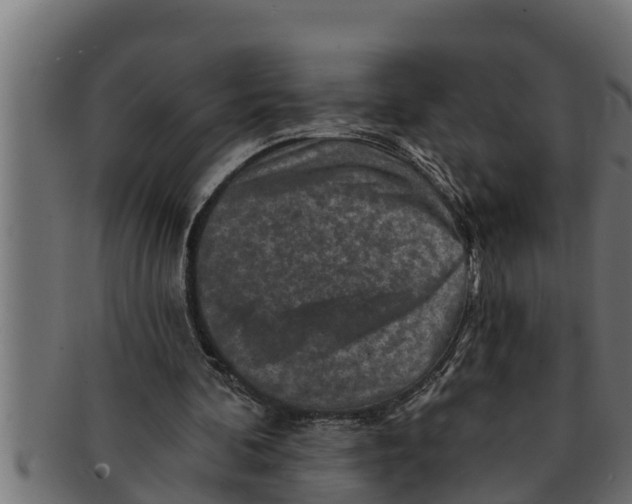 X0000091690292200709201304