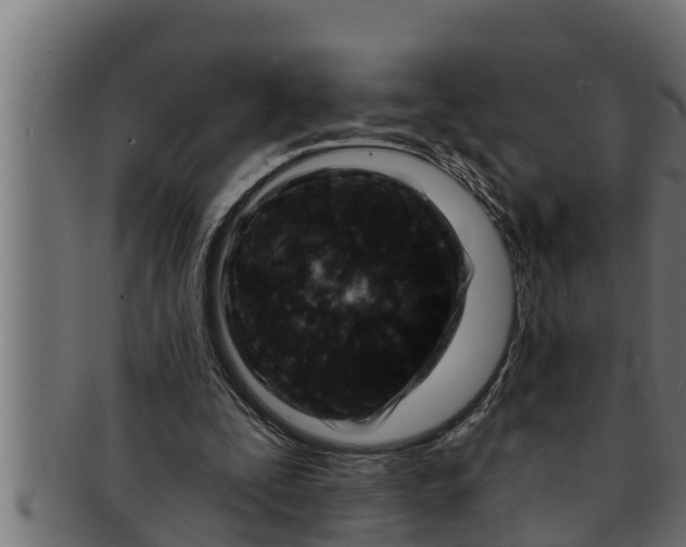 X0000091690295200709201304