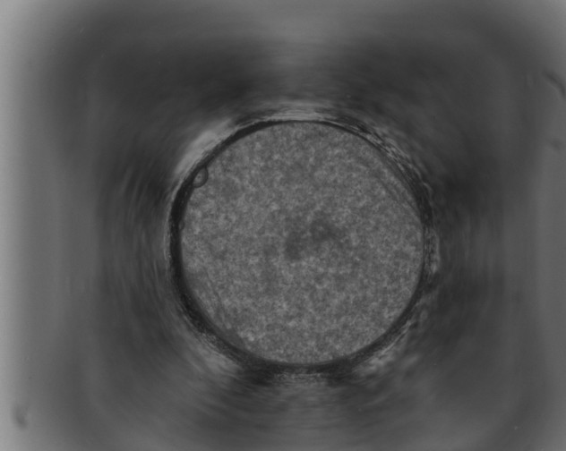 X0000091690296200709201304