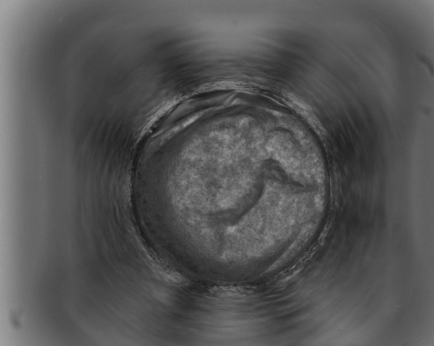 X0000091690297200709201304