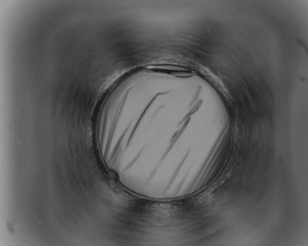 X0000091690298200709201304