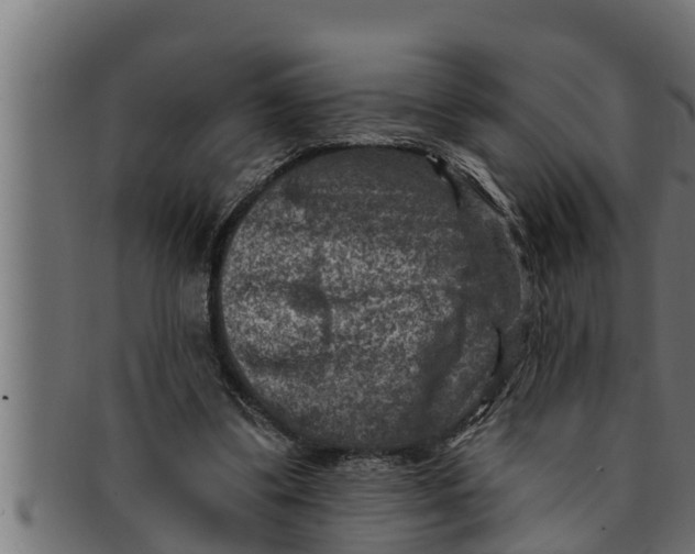 X0000091690299200709201303