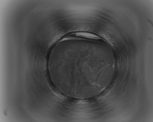 X0000091690303200709201303