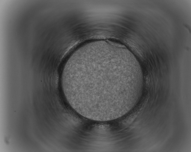 X0000091690304200709201303