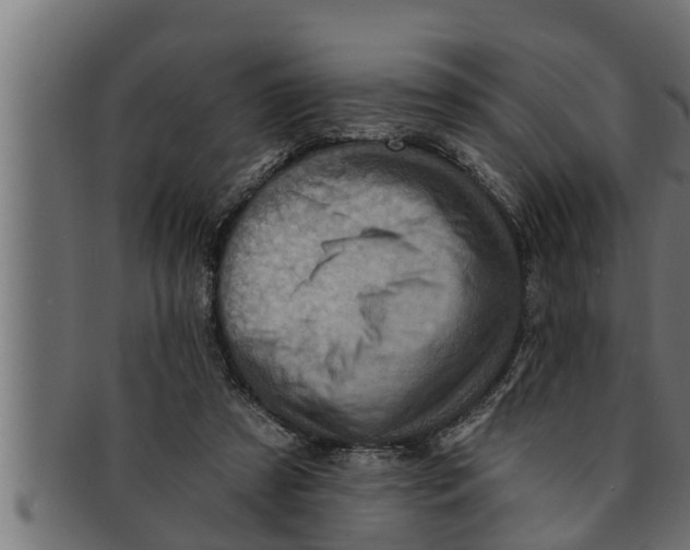 X0000091690305200709201303