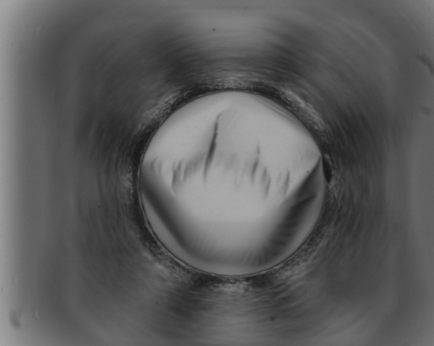 X0000091690306200709201303