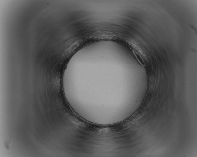 X0000091690309200709201303