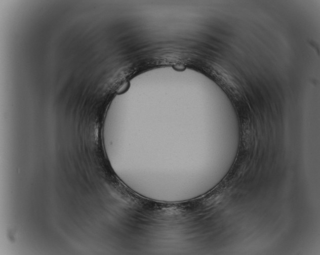 X0000091690310200709201303