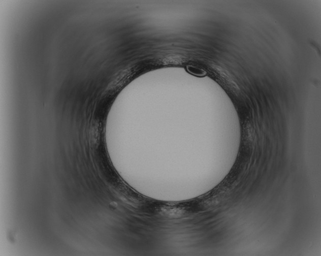 X0000091690311200709201303