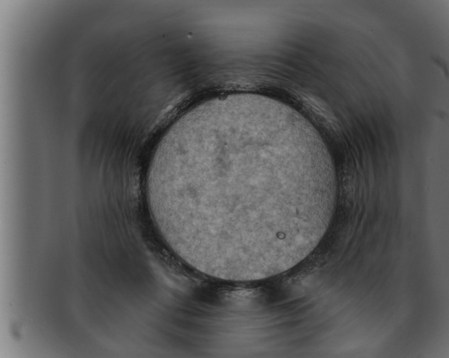 X0000091690312200709201303