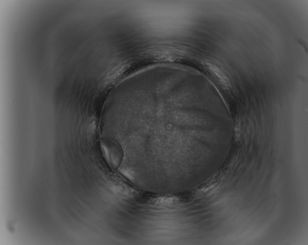 X0000091690314200709201303