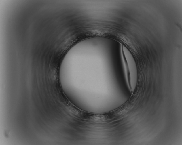 X0000091690317200709201303