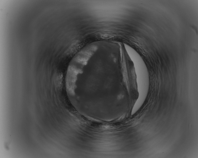 X0000091690319200709201303