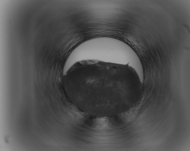 X0000091690325200709201303