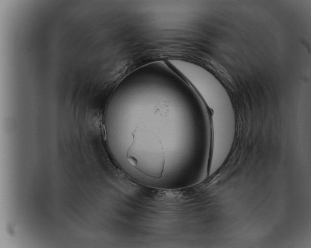 X0000091690329200709201303