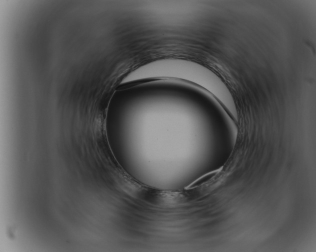 X0000091690333200709201303