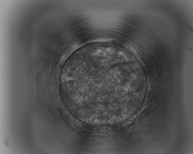 X0000091690337200709201302