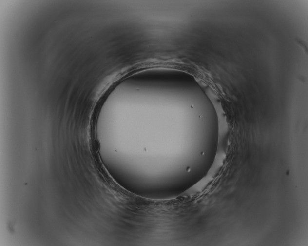 X0000091690340200709201303