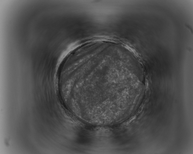 X0000091690343200709201303