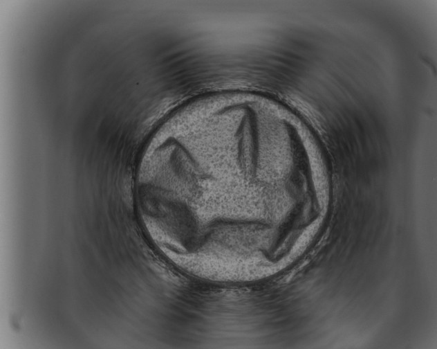 X0000091690345200709201303