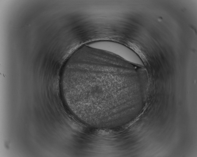 X0000091690346200709201303