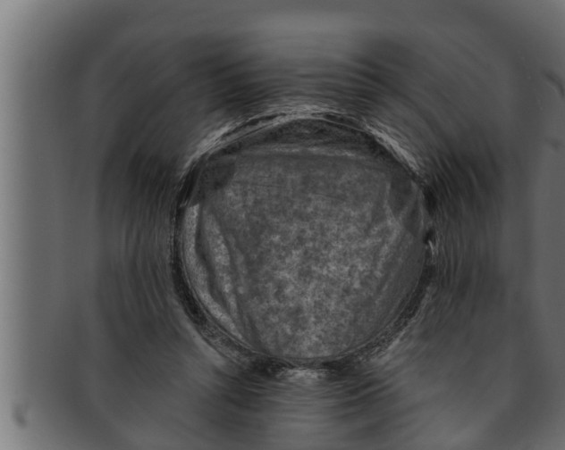 X0000091690352200709201303