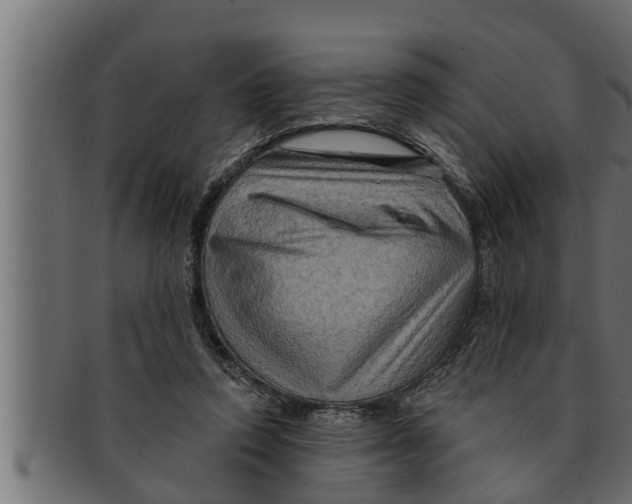 X0000091690354200709201303