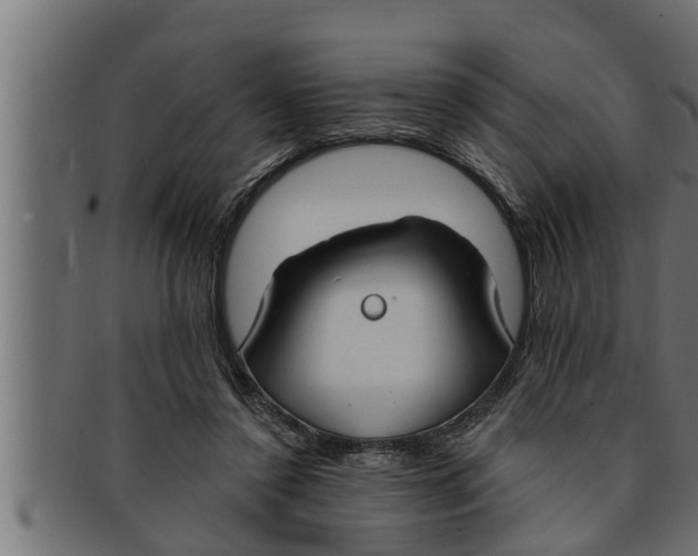 X0000091690356200709201303