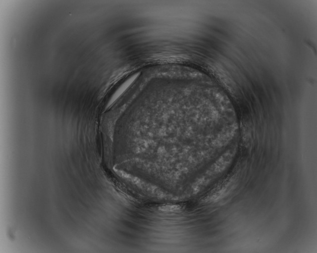 X0000091690357200709201303