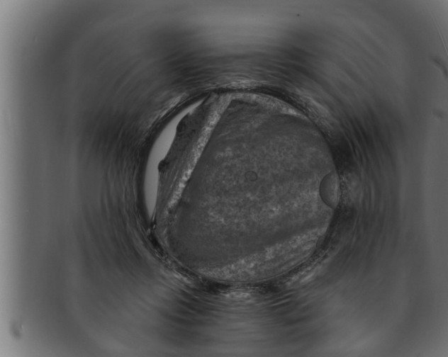 X0000091690358200709201303