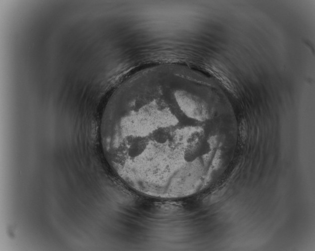 X0000091690359200709201303