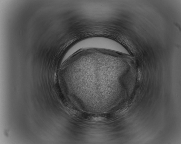 X0000091690360200709201303