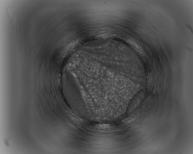 X0000091690361200709201303