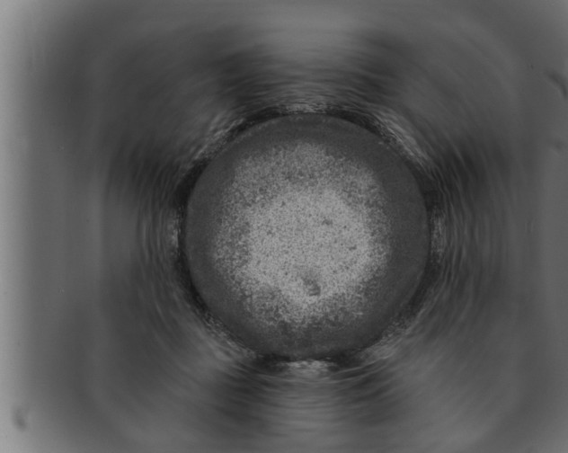 X0000091690363200709201303