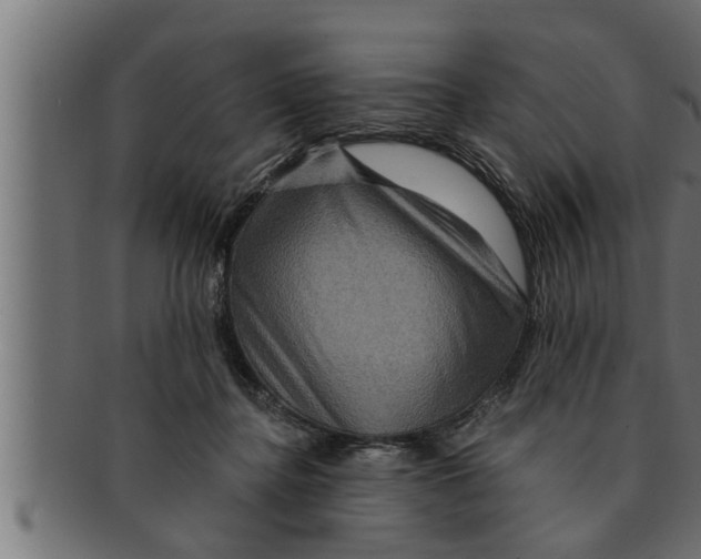 X0000091690364200709201303