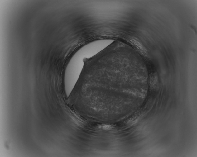 X0000091690365200709201303