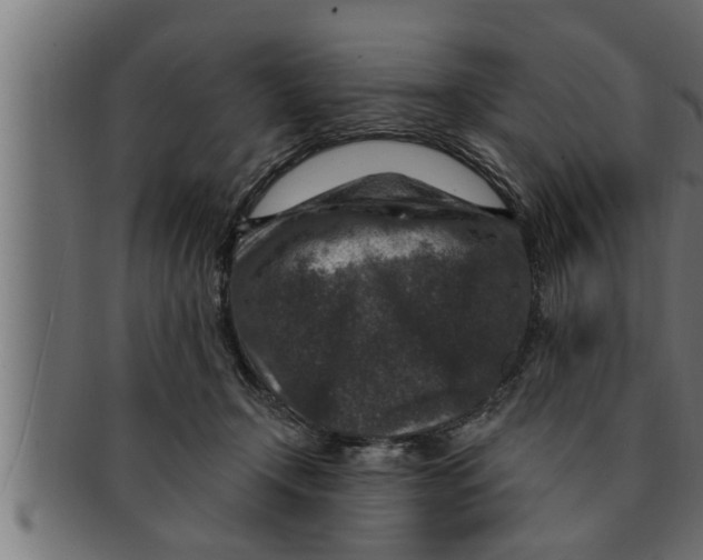 X0000091690366200709201303