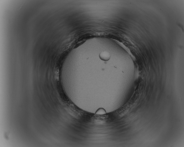 X0000091690368200709201303