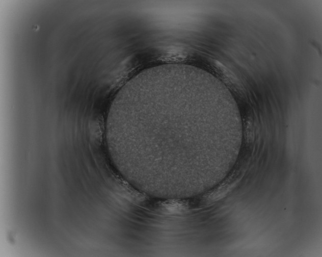 X0000091690370200709201303