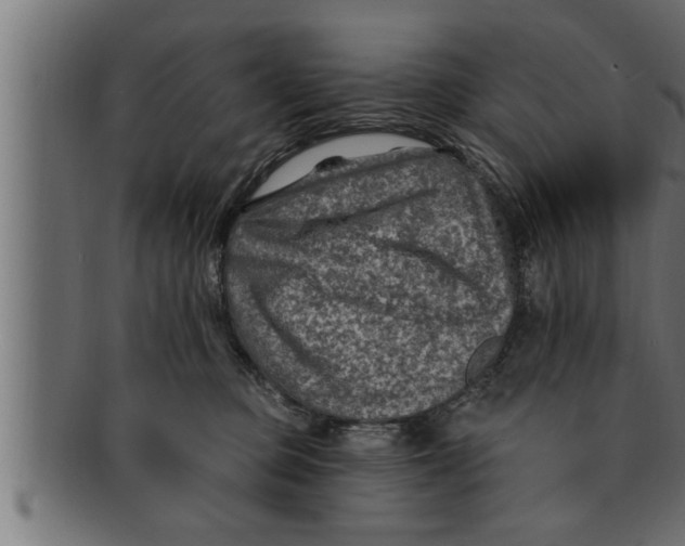 X0000091690373200709201303